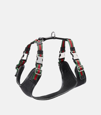 XS GG canvas leather-trimmed dog harness | Gucci
