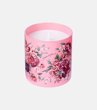 Rosa Moschata scented candle | Dolce&Gabbana Casa