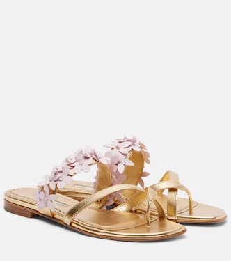 Fiosabi appliqué leather thong sandals | Manolo Blahnik