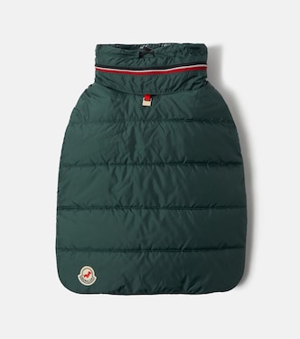 Moncler Poldo Dog Couture dog coat | Moncler
