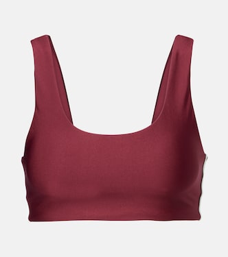 Oxford Harley sports bra | The Upside