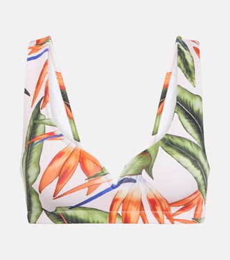 Kamala printed bikini top | Alexandra Miro