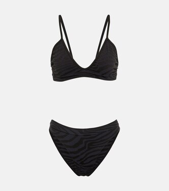 Zebra Blissful bra and Envolve briefs set | Prism²