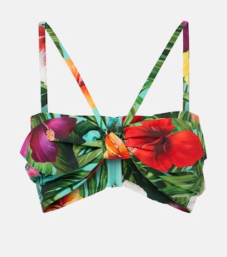 Bow-detail floral cotton bra top | Dolce&Gabbana