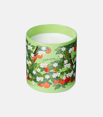 Arancio Di Sicilia scented candle | Dolce&Gabbana Casa