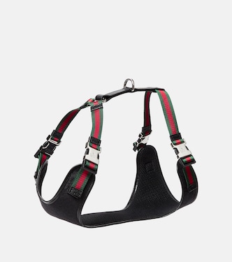 S/M GG canvas dog harness | Gucci