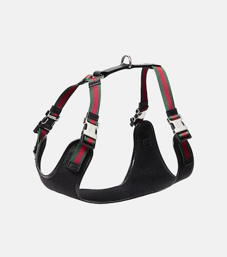 S/M GG canvas dog harness | Gucci