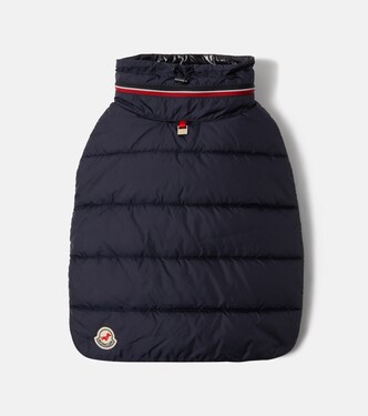 Moncler Poldo Dog Couture dog coat | Moncler