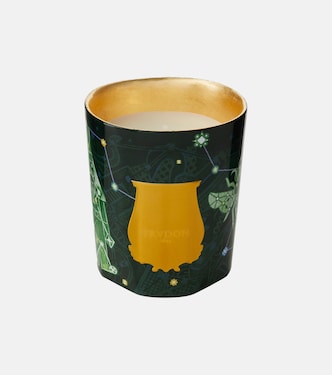 Fir Classic scented candle  | Trudon