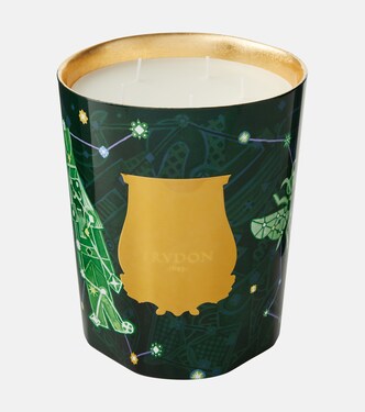 Fir Grande scented candle | Trudon