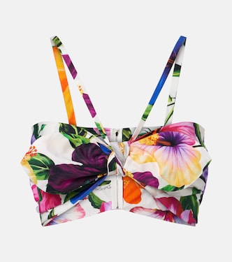 Bow-detail floral cotton bra top | Dolce&Gabbana