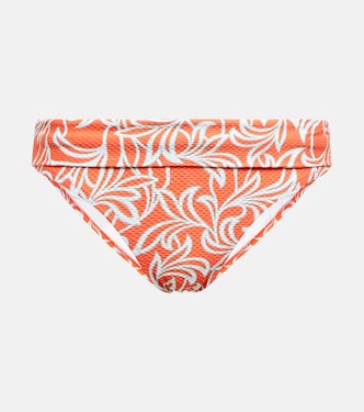 Coral Gardens bikini bottoms | Heidi Klein