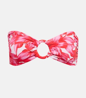 Carlotta printed bandeau bikini top | Alexandra Miro