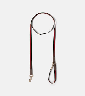 Web Stripe dog leash | Gucci