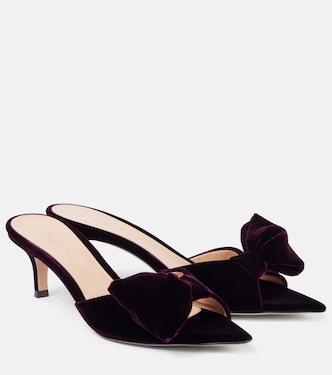 55 bow-detail velvet mules | Gianvito Rossi