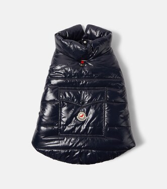 Moncler Poldo Dog Couture dog coat | Moncler