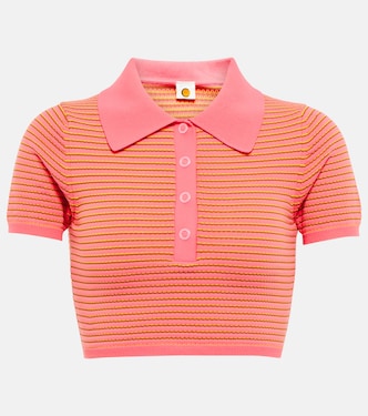 Sierra striped crop top | Tropic of C