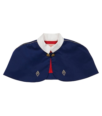 Cape Armadillo | The Animals Observatory