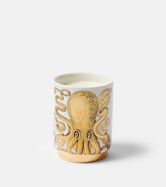 Polipo Immaginazione scented candle | Fornasetti