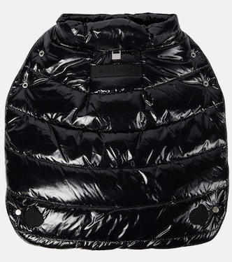 6 Moncler 1017 ALYX 9SM dog coat | Moncler