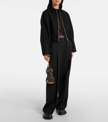 x Louis Wain – Pochette en cuir | Loewe