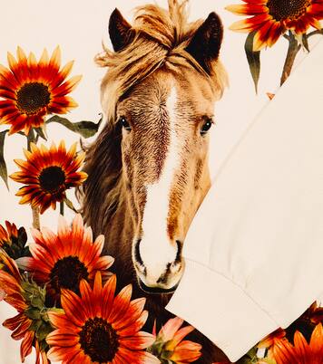 Mika printed cotton sweatshirt | Molo