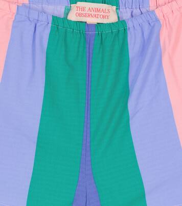 Short Clam rayé en coton | The Animals Observatory