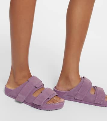 X Tekla Pantoletten Uji aus Veloursleder | Birkenstock 1774