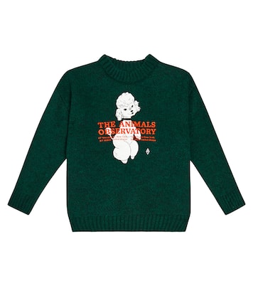 Bull knit sweater  | The Animals Observatory