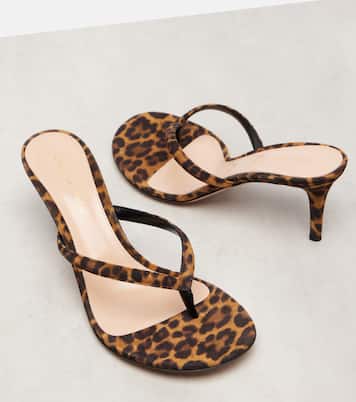 Calypso 70 suede thong sandals | Gianvito Rossi