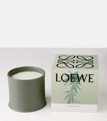 Duftkerze Marihuana Large | Loewe Home Scents