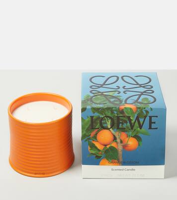 شمعة عطرية Orange Blossom Large | Loewe Home Scents