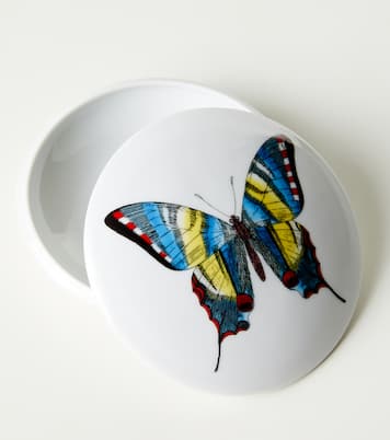 Farfalle porcelain container | Fornasetti