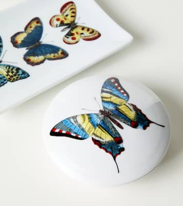 Farfalle porcelain container | Fornasetti