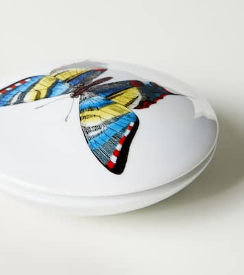 Farfalle porcelain container | Fornasetti