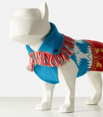 X Poldo Dog Couture Pullover für Hunde | Alanui