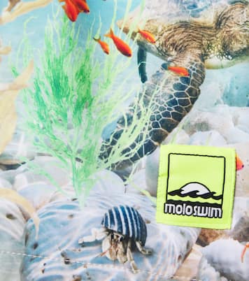 Niko printed swim trunks | Molo