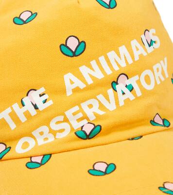 Hamster cotton baseball cap | The Animals Observatory