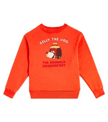 Bear cotton jersey sweatshirt | The Animals Observatory