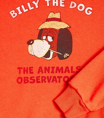 Bear cotton jersey sweatshirt | The Animals Observatory