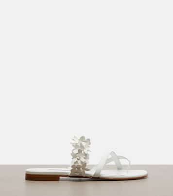 Fiosa appliqué leather thong sandals | Manolo Blahnik