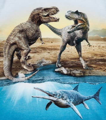 Roxo printed cotton jersey T-shirt | Molo