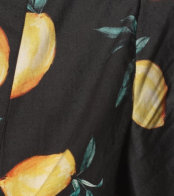 Sandy printed cotton crop top | Alexandra Miro