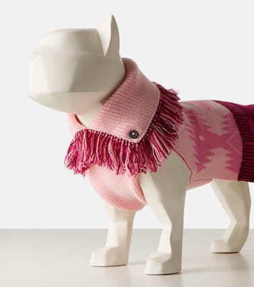 X Poldo Dog Couture Pullover für Hunde | Alanui