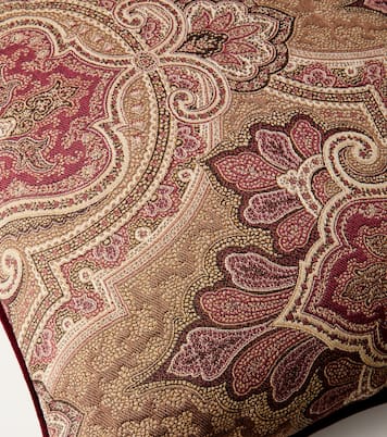 Deosai paisley cushion | Etro