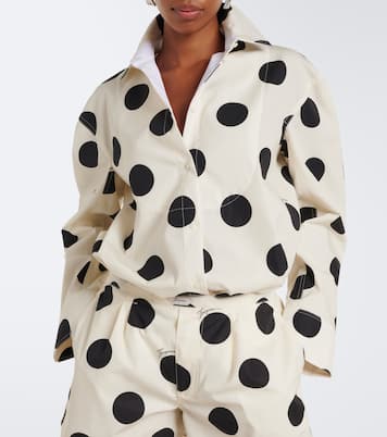 Immagine 2 di 8