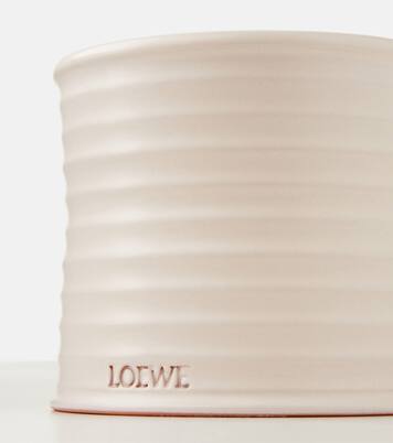 Candela profumata Oregano media | Loewe Home Scents