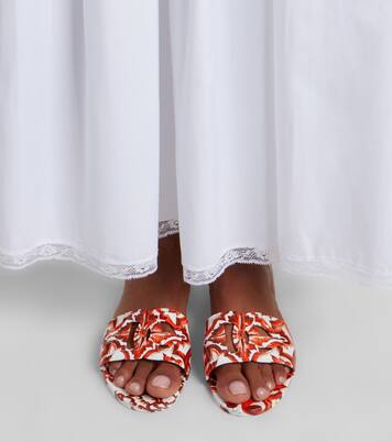 Majolica DG rubber slides | Dolce&Gabbana