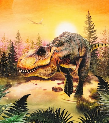 T-shirt Riley imprimé en coton | Molo