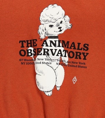 Big Bear printed cotton sweatshirt  | The Animals Observatory